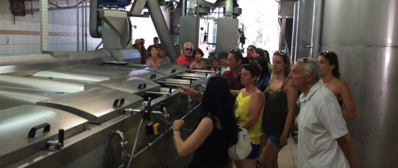 We were very glad to welcome our first visitors! 